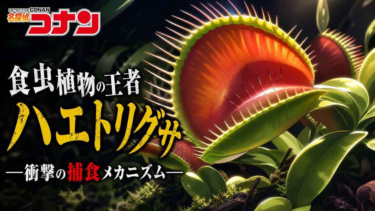探花探花-【探花教程】食虫探花捕食机制完整视频演示